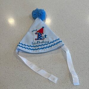 Birthday Hat boys 1st birthday blue hat